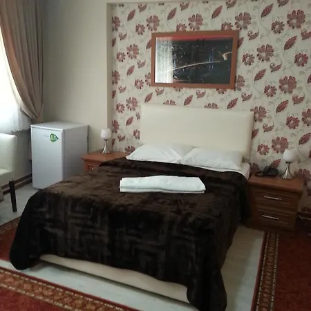 Cinar Istanbulská provincie